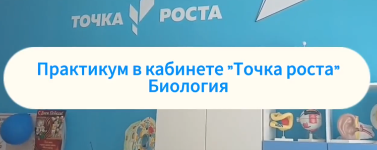 Практикум в кабинете ТР биологии.